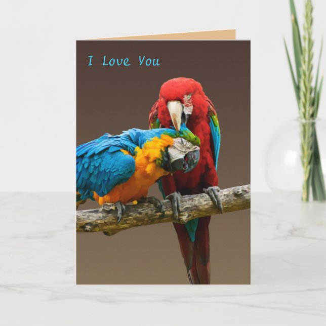 Parrots Love Gold and Blue Macaw Scarlett Macaw Card (Front)