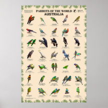 Parrots of the world – Australia