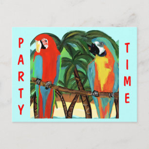 PARROTS POSTCARD