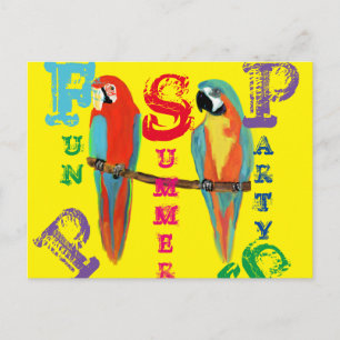 PARROTS POSTCARD