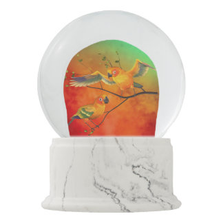 Parrots Sun Conures Snow Globe