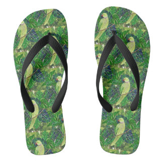 parrots thongs
