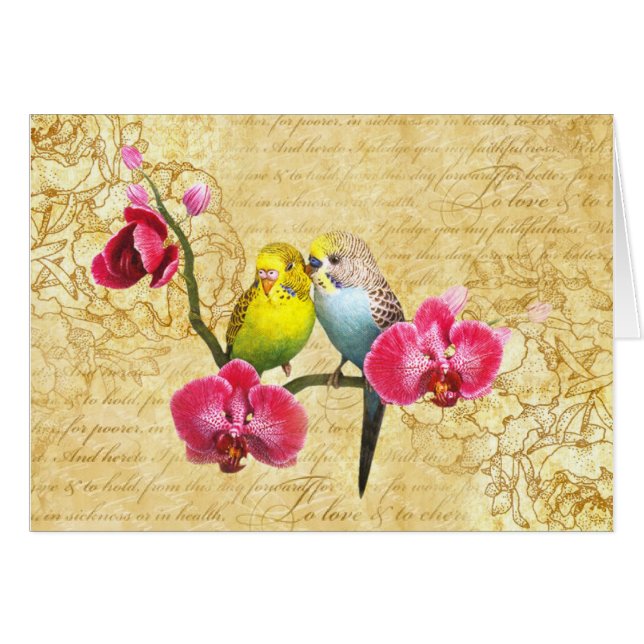 Parrots to orchids (Front Horizontal)