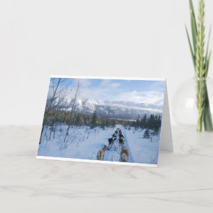 ParrotSleds - Landscape Card
