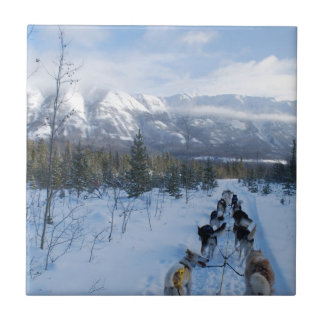 ParrotSleds - Landscape Ceramic Tile