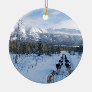 ParrotSleds - Landscape Ceramic Tree Decoration