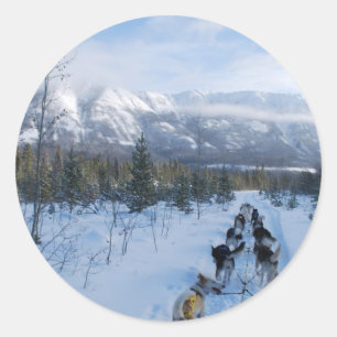 ParrotSleds - Landscape Classic Round Sticker