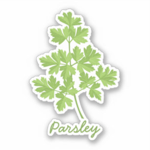 Parsley