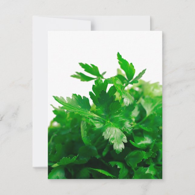 Parsley (Front)