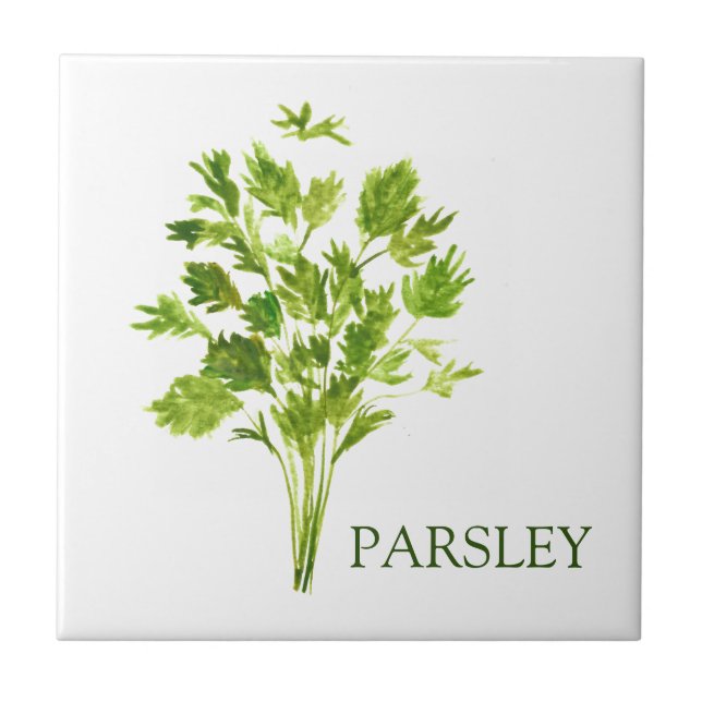 Parsley Herb Greenery Kitchen Culinary Green  Ceramic Tile (Front)
