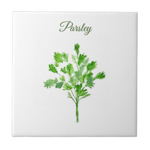 Parsley Herb Greenery Kitchen Culinary Green Chic Ceramic Tile