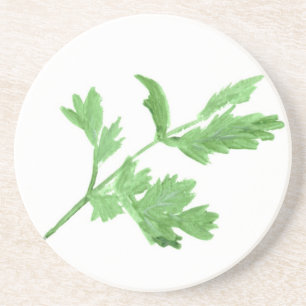 Parsley herb watercolour coaster