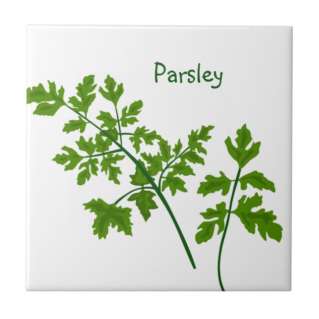 Parsley Herbs Kitchen Ceramic Tile (Front)