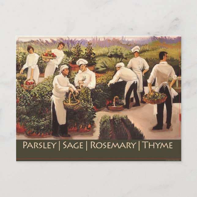 Parsley, Sage, Rosemary, and Thyme Postcard (Front)