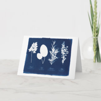 Parsley Sage Rosemary & Thyme Blank Card