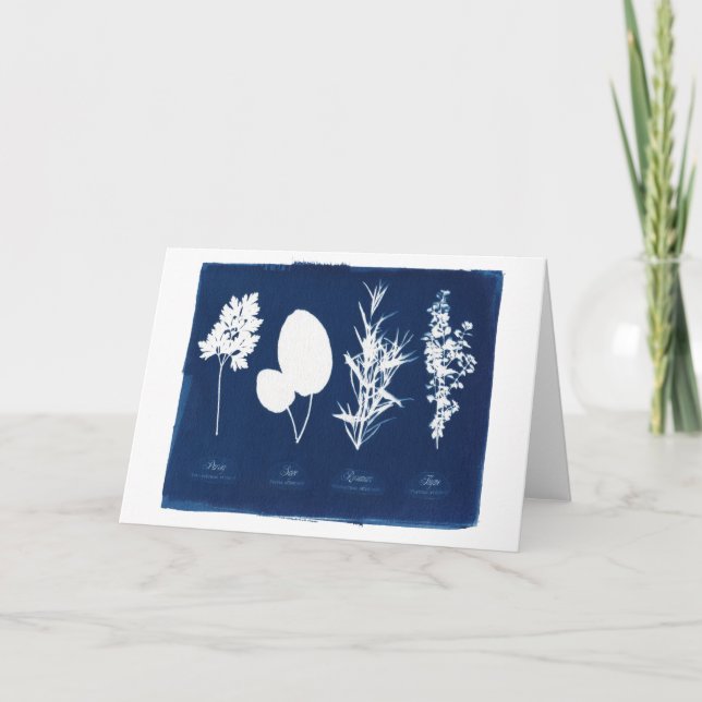 Parsley Sage Rosemary & Thyme Blank Card (Front)