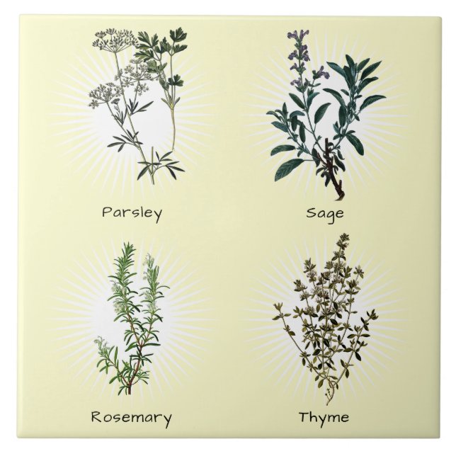 Parsley Sage Rosemary & Thyme Herbs Ceramic Tile (Front)