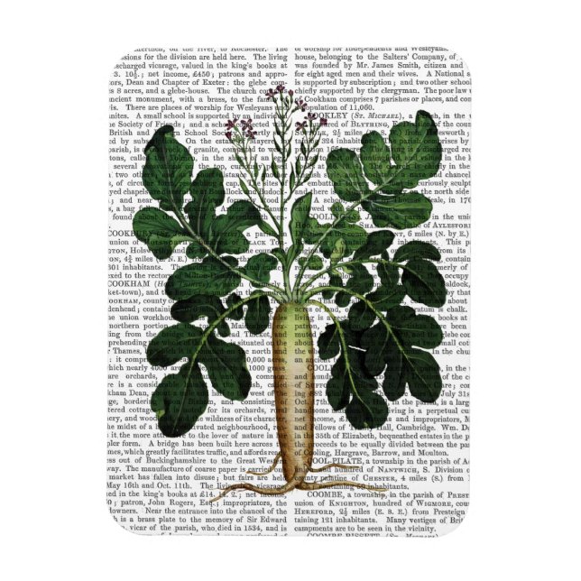 Parsnip 3 magnet (Vertical)
