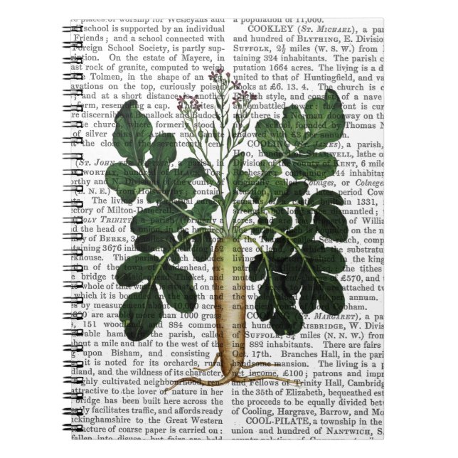 Parsnip 3 notebook (Front)