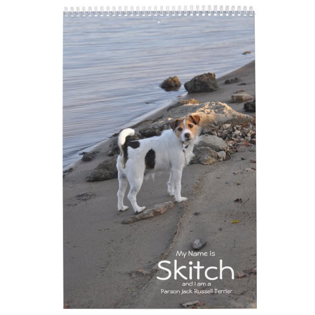 Parson Jack Russell Terrier Dog Calendar by Janz (Cover)