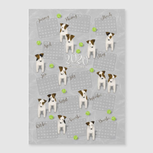 Parson Jack Russell Terriers grey 2020 calendar