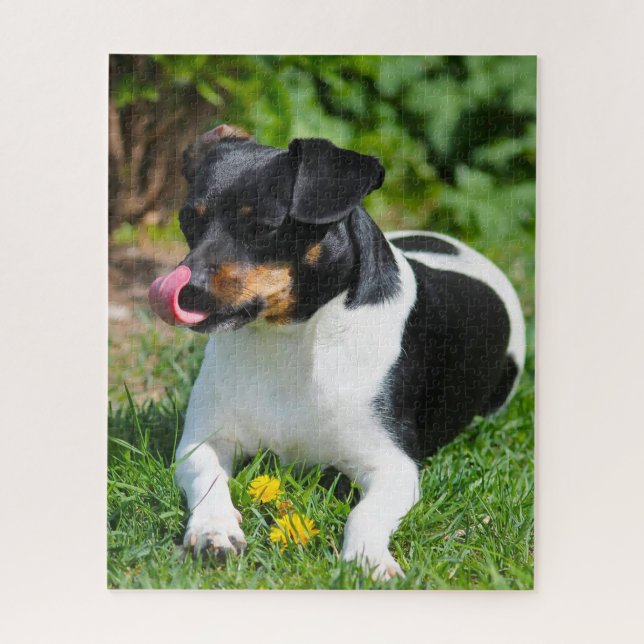Parson Russell terrier. Jigsaw Puzzle (Vertical)