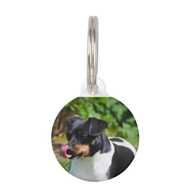 Parson Russell Terrier. Pet Tag (Front)