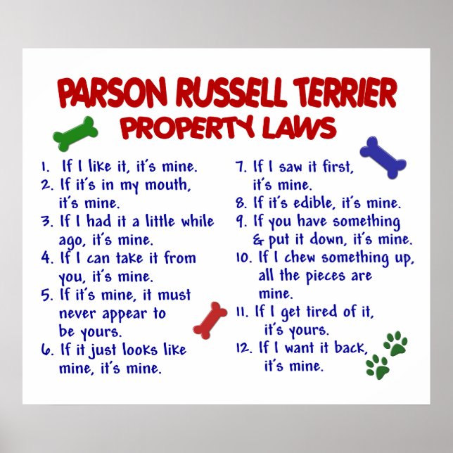 PARSON RUSSELL TERRIER PL2 POSTER (Front)