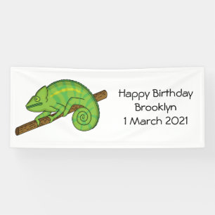 Parson's chameleon illustration banner