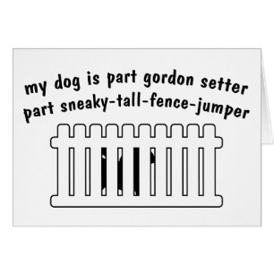 Part Gordon Setter Part Fence-Jumper
