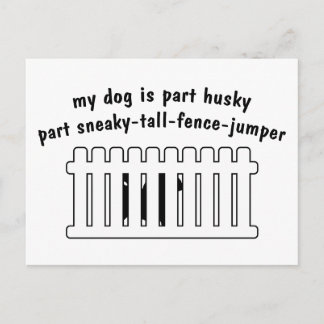 Part Husky Part Fence-Jumper Postcard