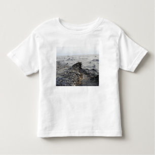 Part of an oil slick in the Gulf of Mexico Toddler T-Shirt