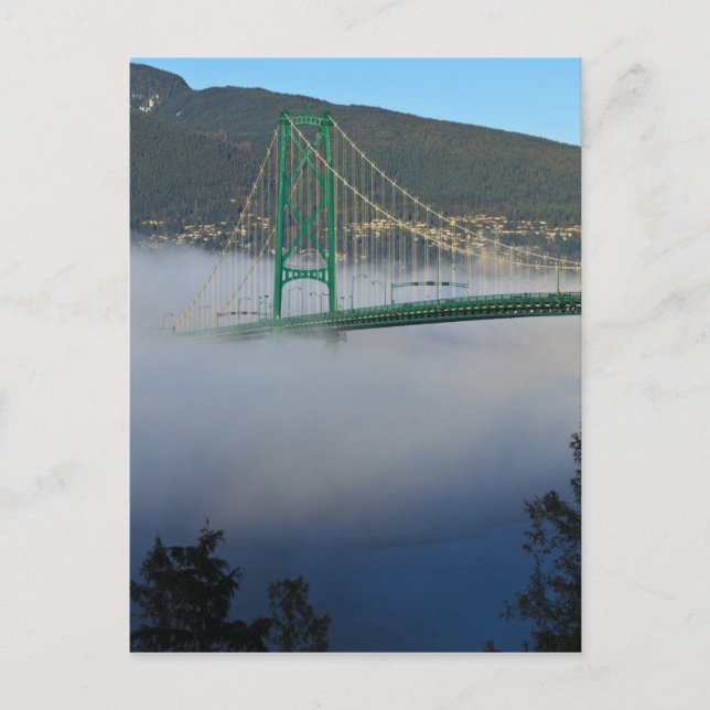 Part of the Lion's Gate Bridge with fog rolling 2 Postcard (Front)
