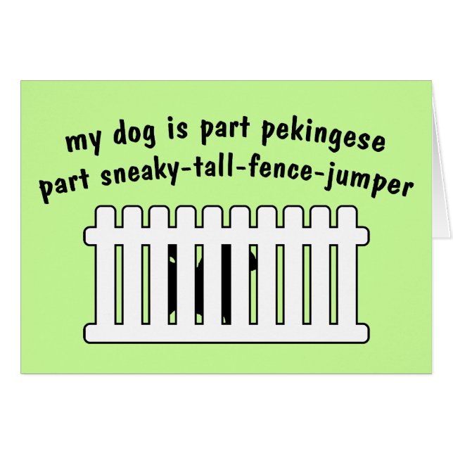 Part Pekingese Part Fence-Jumper (Front Horizontal)
