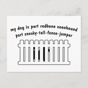 Part Redbone Coonhound Part Fence-Jumper Postcard