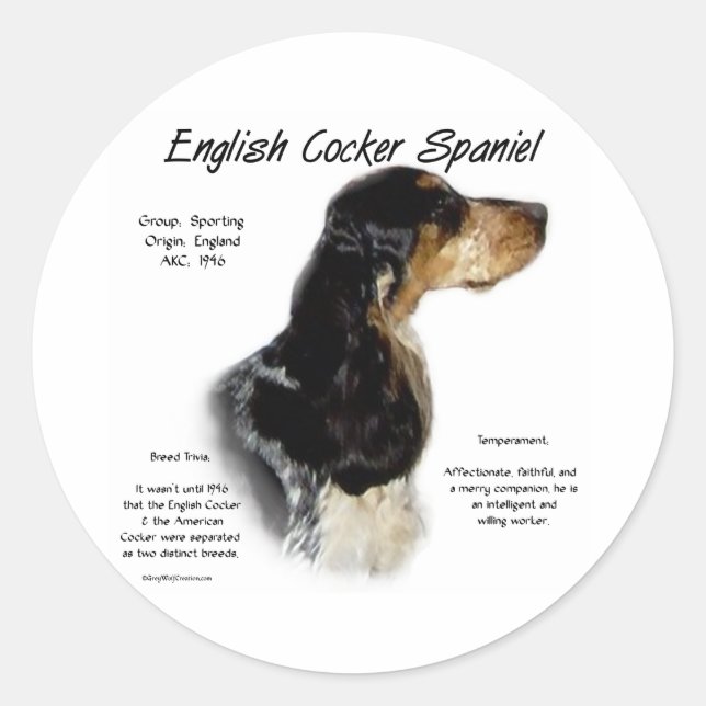Parti Roan English Cocker Spaniel History Classic Round Sticker (Front)