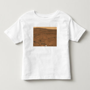 Partial Seminole panorama of Mars Toddler T-Shirt