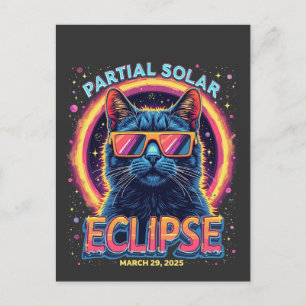 Partial Solar Eclipse 2025 Cat Kitten  Postcard