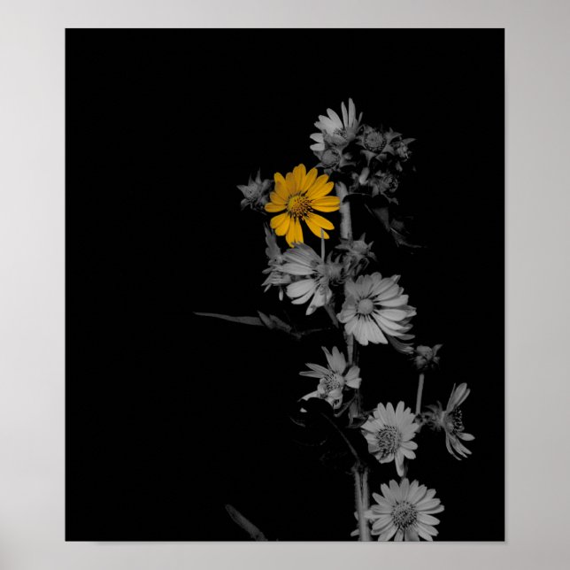 Partially Colourized Black and White Flower Poster (Front)