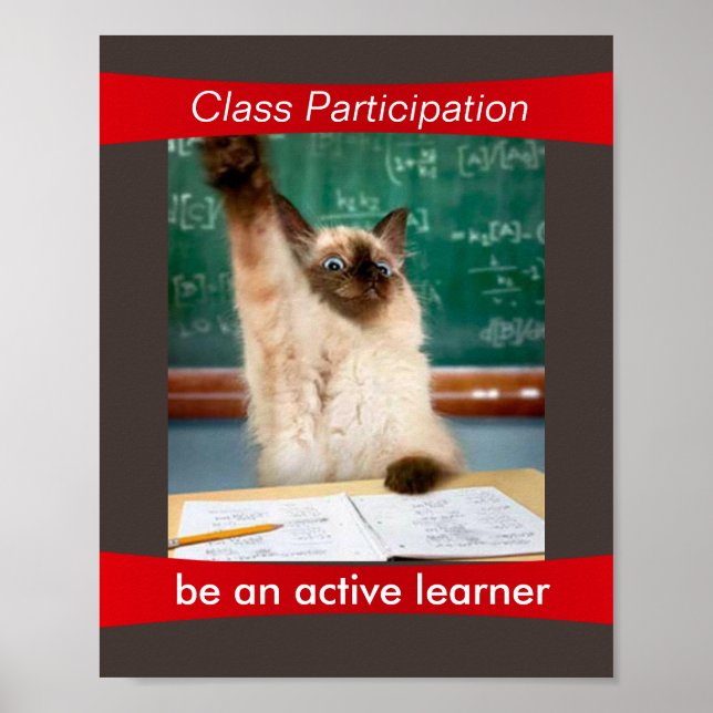Participation is a Virtue Classroom Poster (Front)