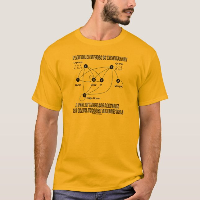 Particle Physics Is Nothing But A Pool Of Massless T-Shirt (Front)