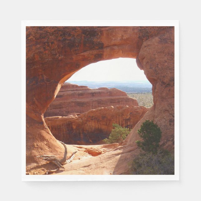 Partition Arch at Arches National Park Napkin (Front)