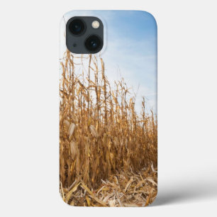 Partly Harvested Corn Field iPhone 13 Case