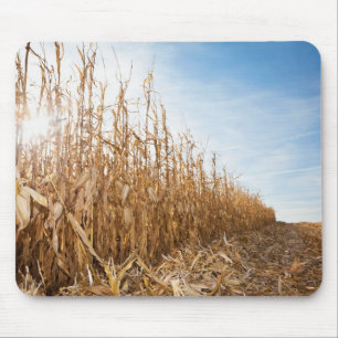 Partly Harvested Corn Field Mouse Pad