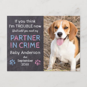 Partner in Crime Dog Pregnancy Announcement