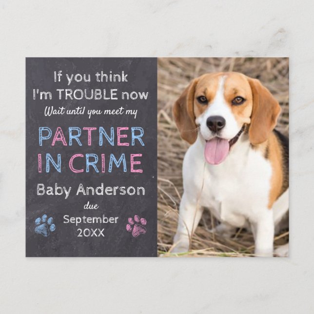 Partner in Crime Dog Pregnancy Announcement Postcard (Front)