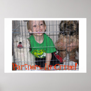 Partners In Crime! Poster