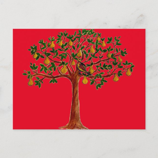 Partridge 2 in a Pear Tree Postcards (Front)