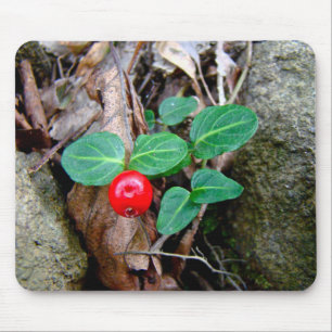 Partridge Berry Wildflower Mouse Pad