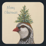 Partridge Christmas stickers<br><div class="desc">Partridge with cedar</div>